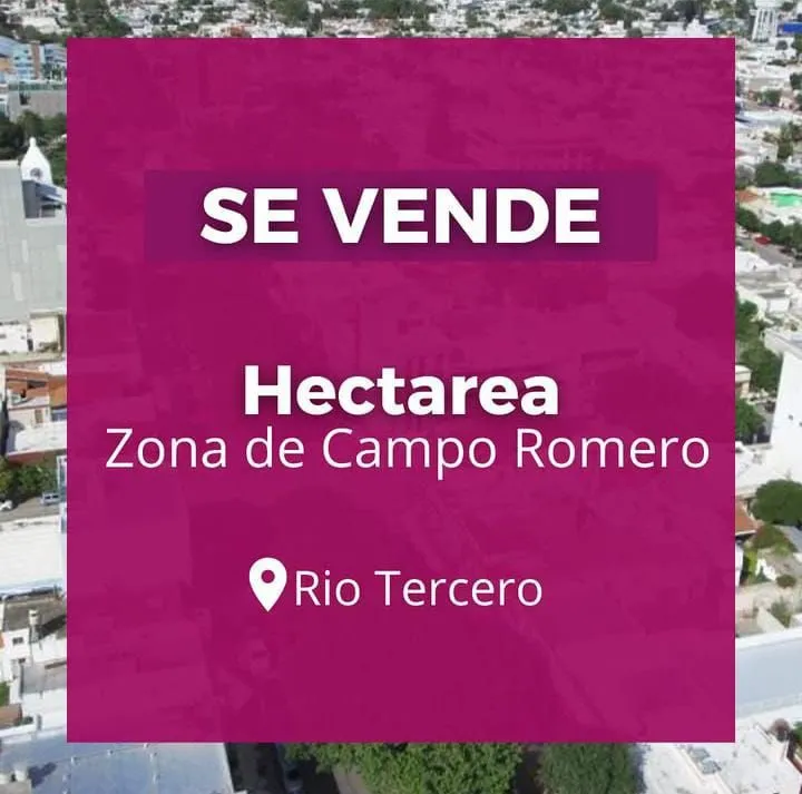 Lote en