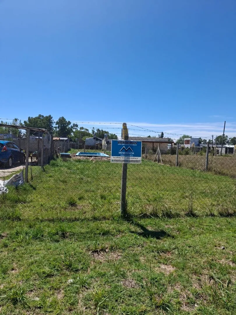 Lote en MISTRAL 1500
