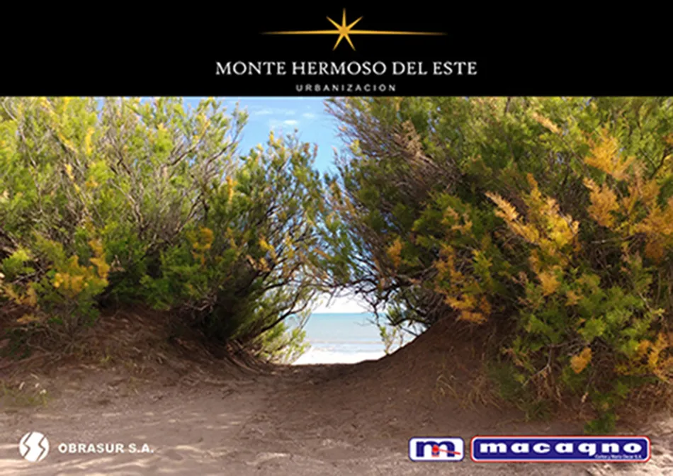 Lote en