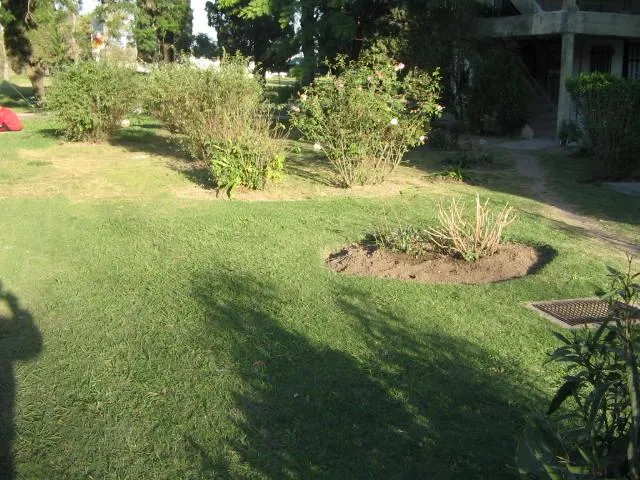 Departamento en B° 96 VIVIENDAS 100