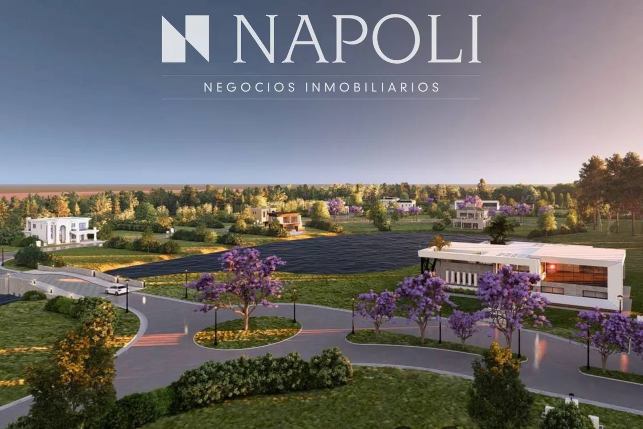 Lote en