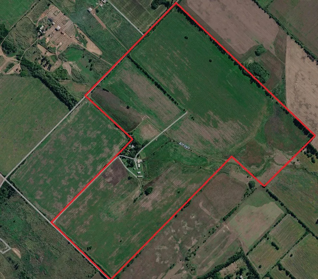Campo en s/n
