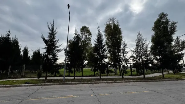 Lote en general zapiola