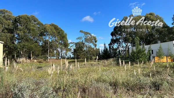 Lote en Ecuestre 200