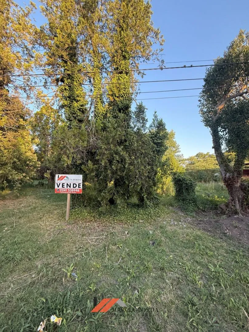 Lote en Calle Guillermo