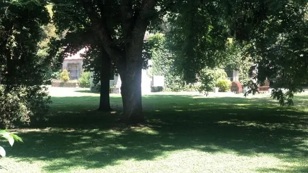 Lote
