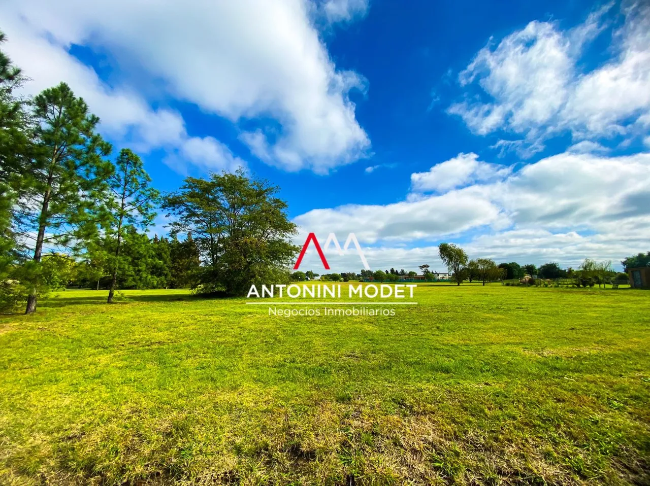 Lote en