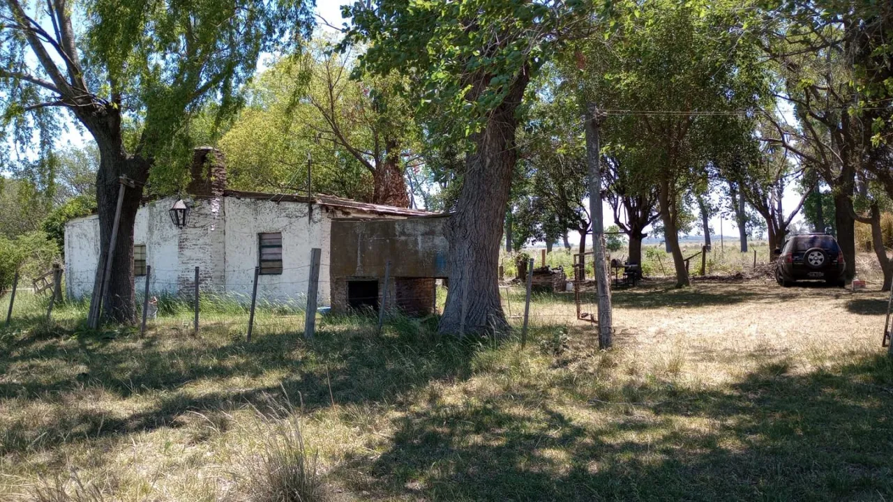 Campo en Ruta 3 KM 45