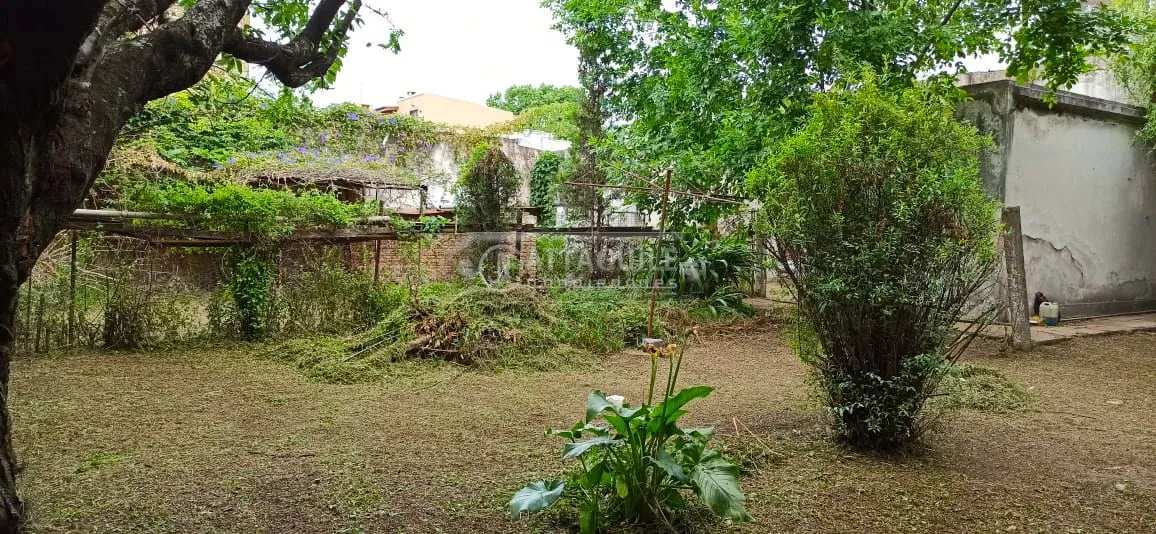 Lote en AV. CALLE REAL 600
