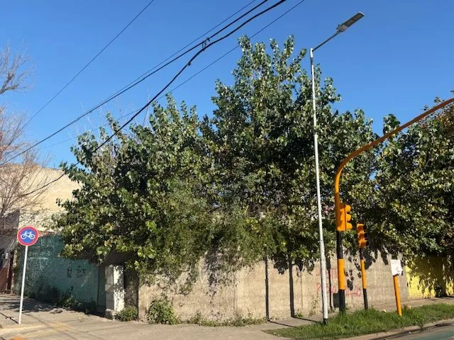 Lote en Mariano Acosta 400