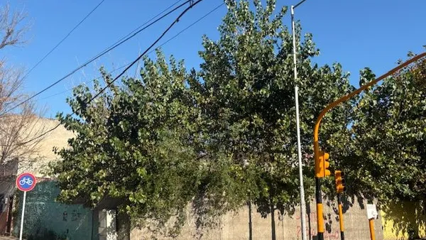 Lote en Mariano Acosta 400