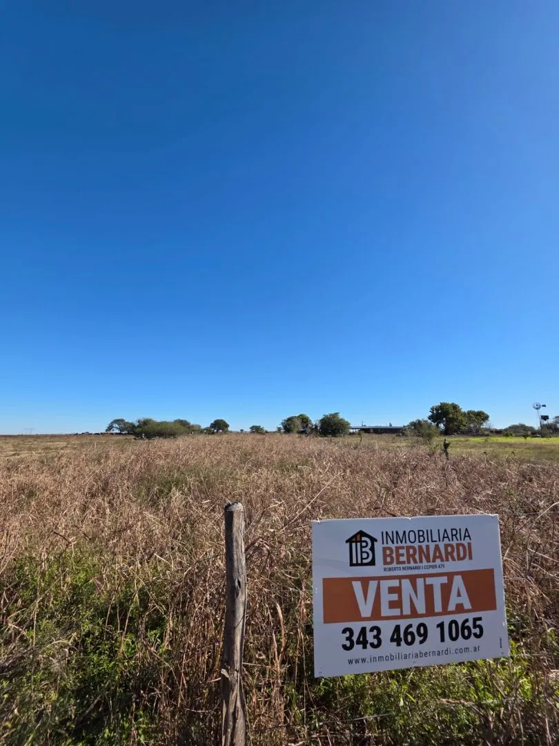 Lote en