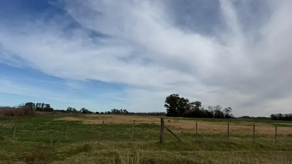 Campo