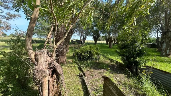 Campo en Frontera Sur