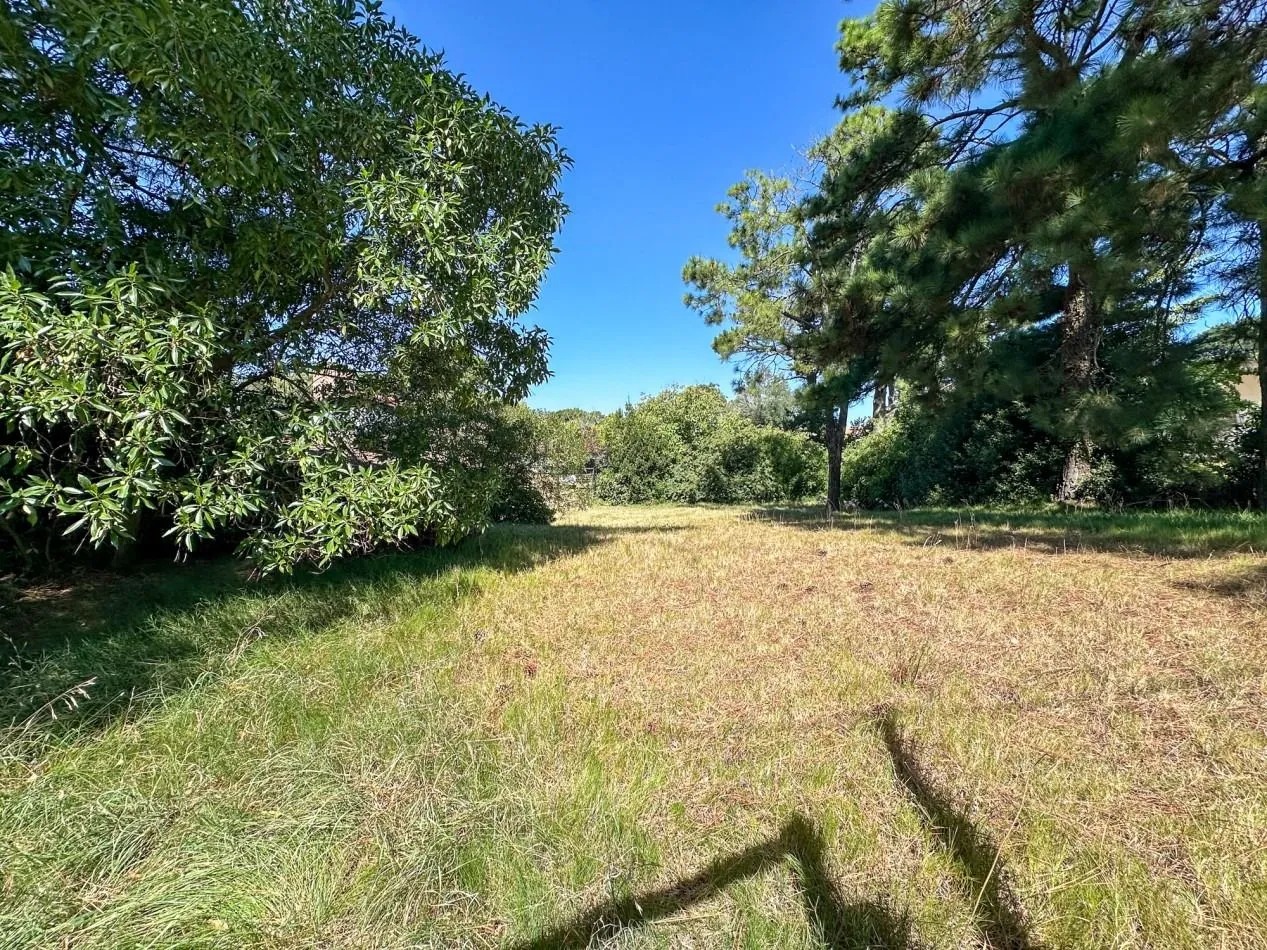 Lote en Simbad el Marino 300