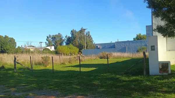 Lote en 19