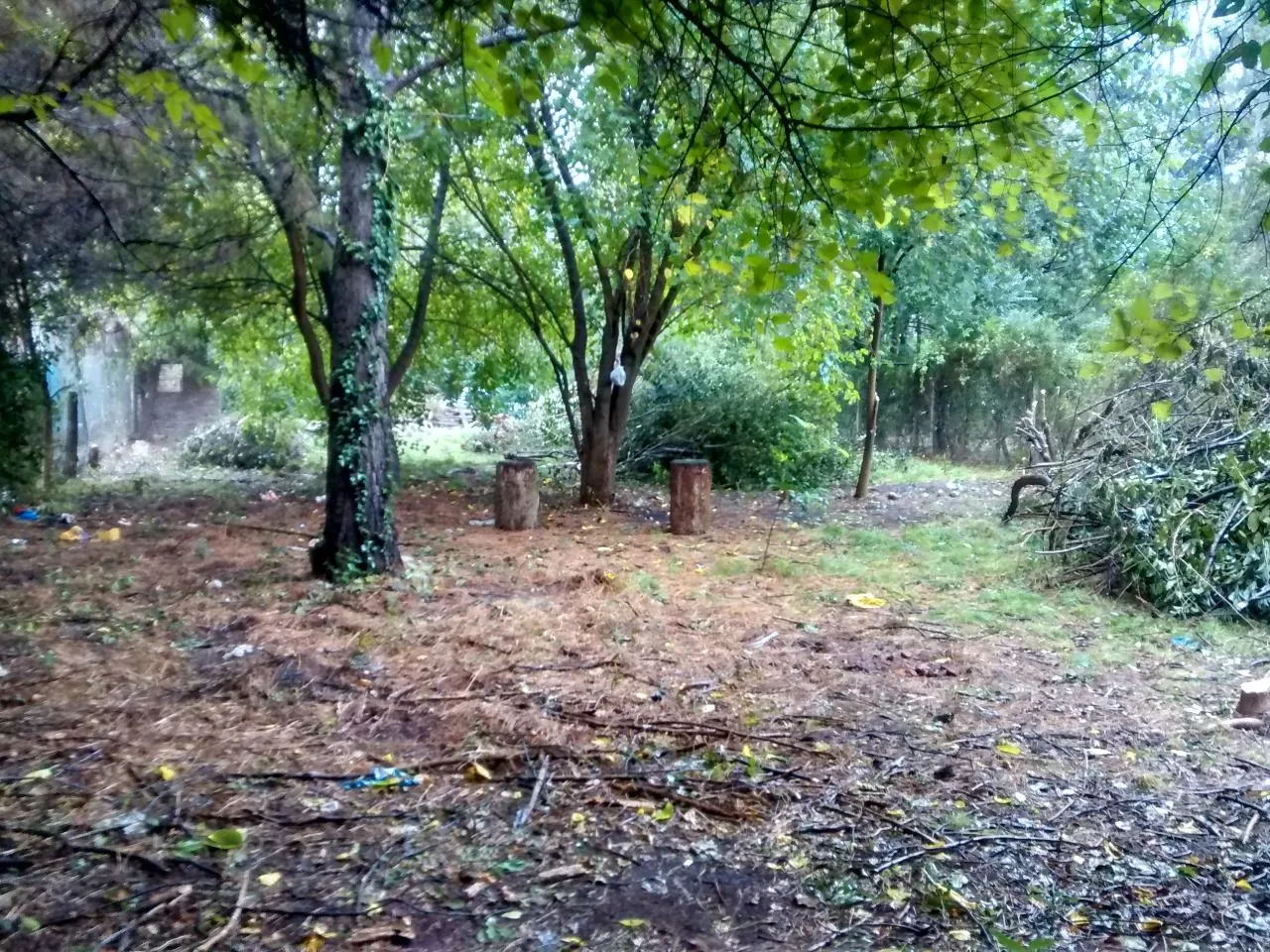 Lote en Juan Antonio Mir 2600