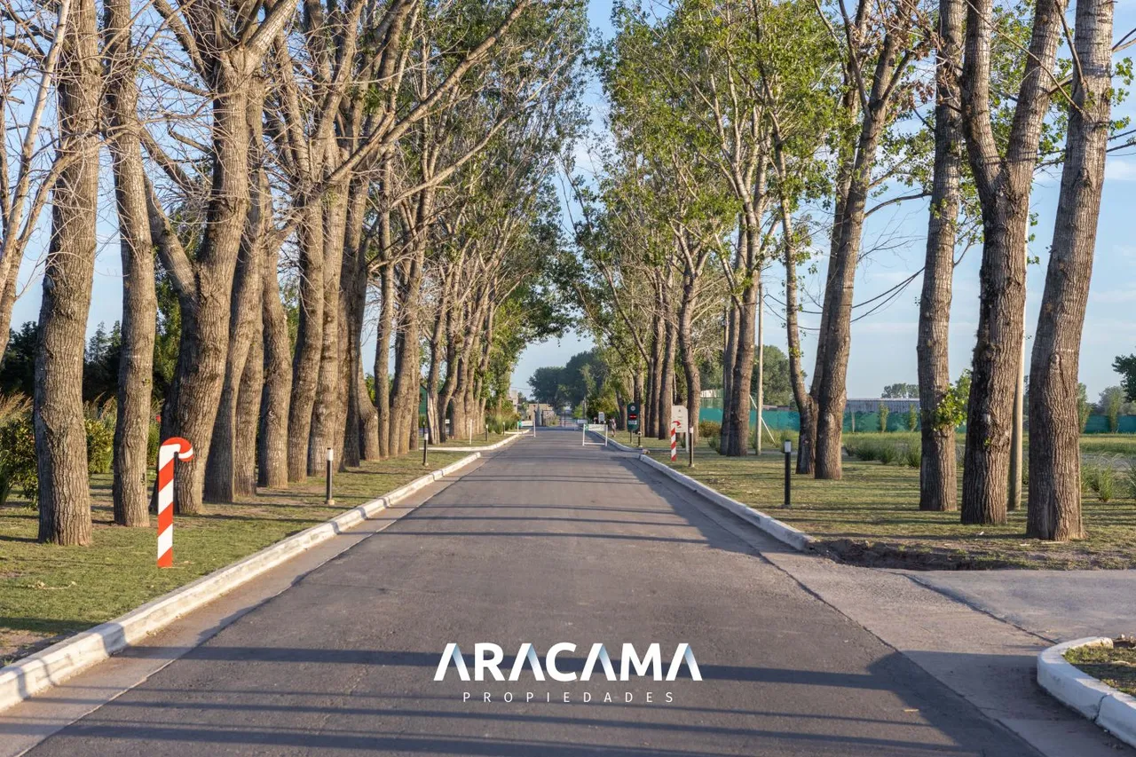 Lote en La Alameda