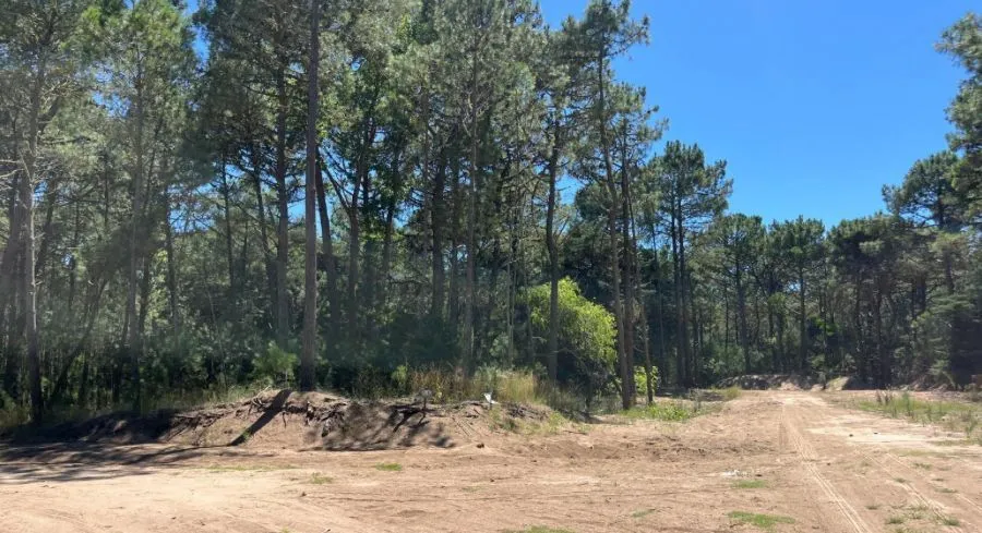 Lote en Enebros