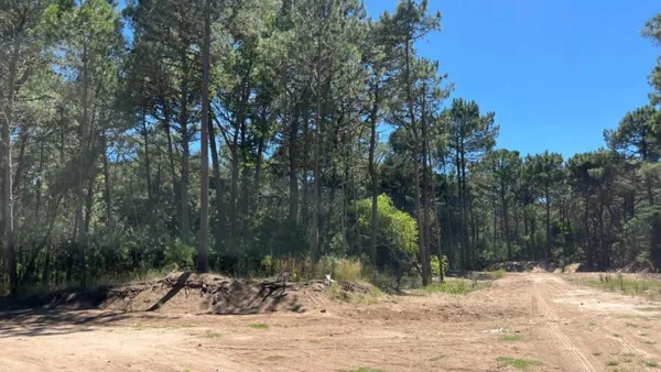 Lote en Enebros