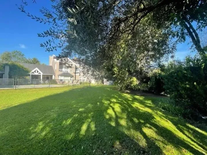 Lote en Carola Lorenzini