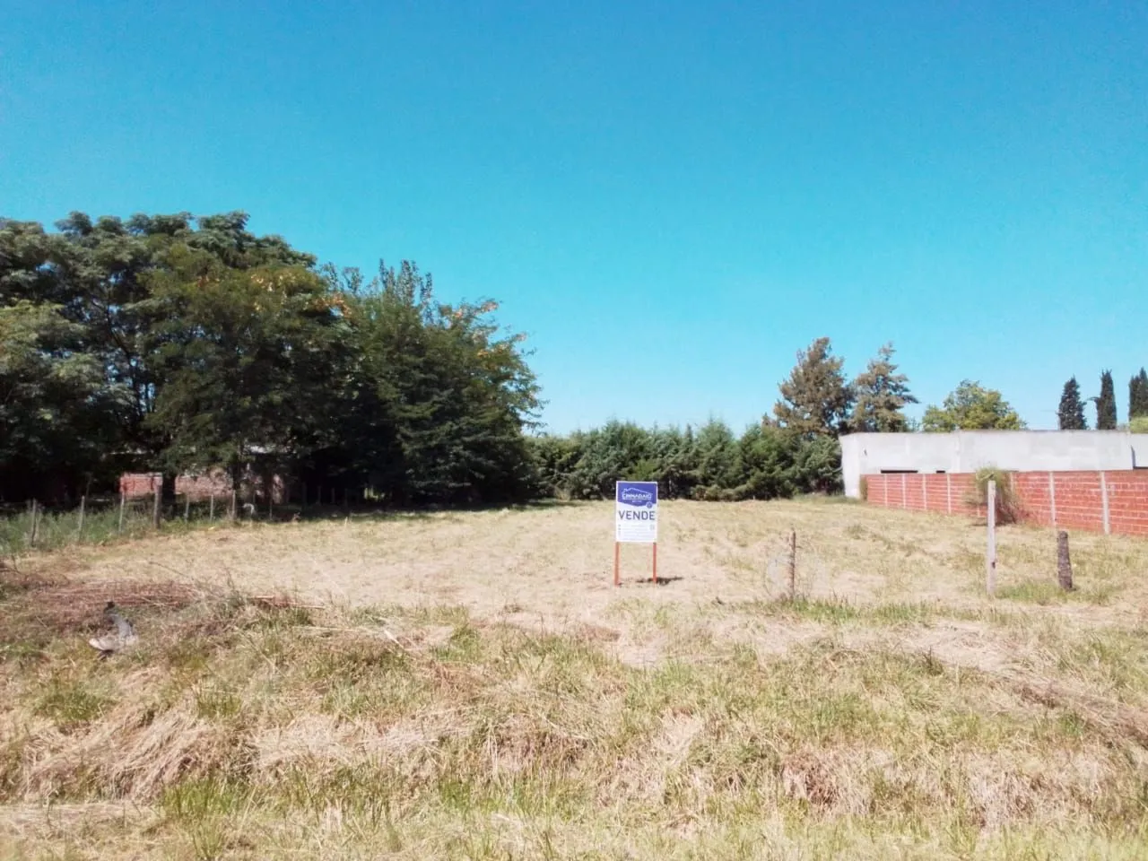 Lote en Ayacucho