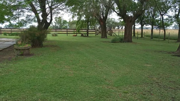 Campo