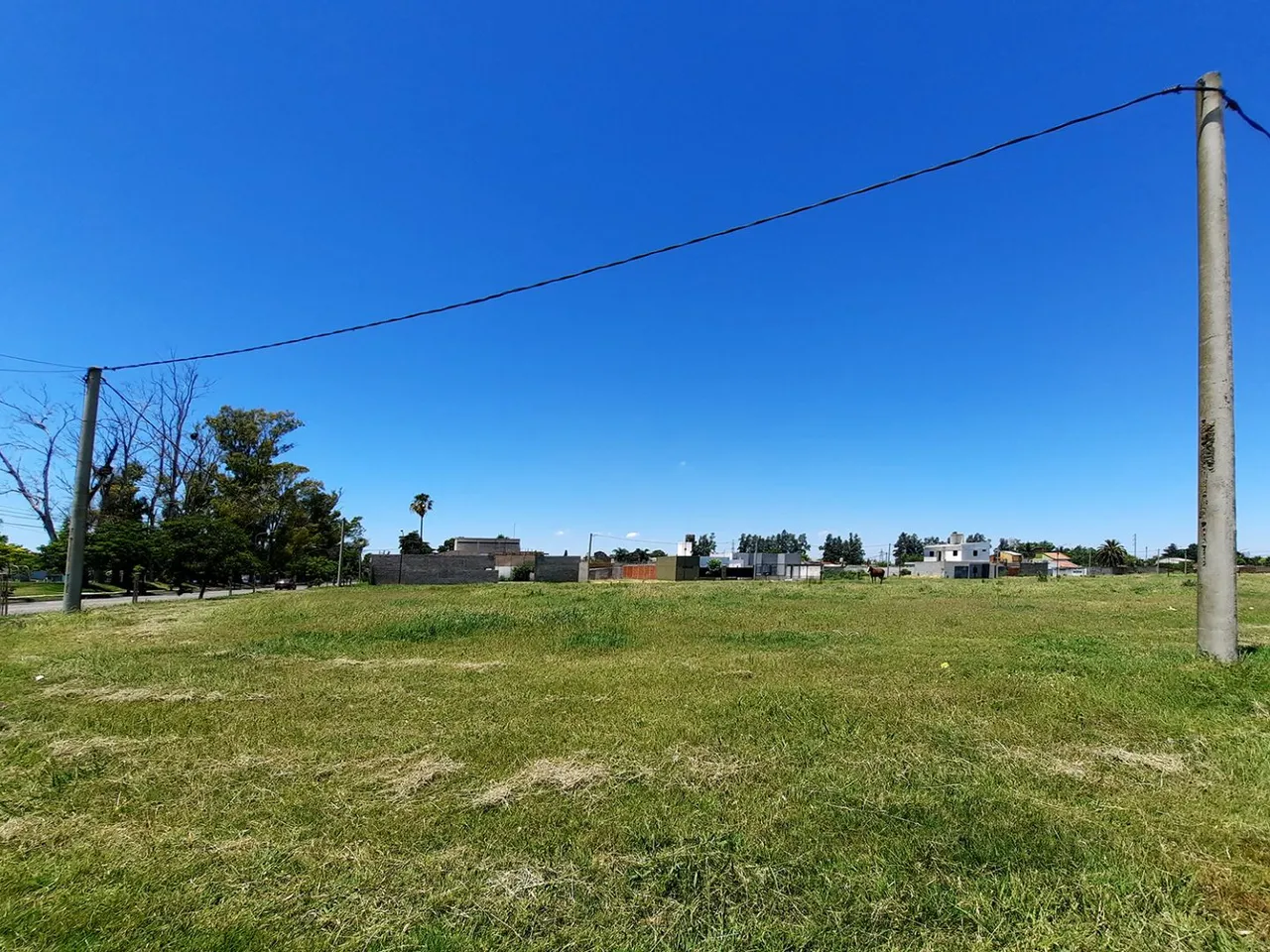 Lote en Av. Savio 1900