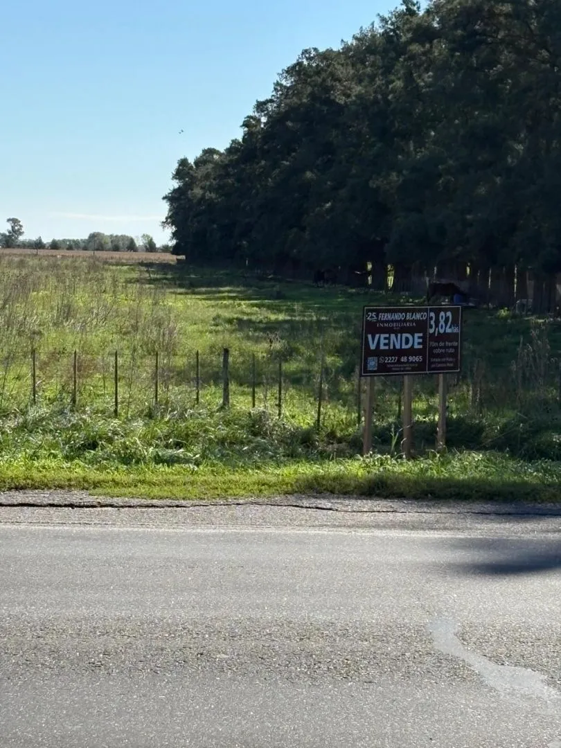 Campo en RUTA 205 KM 109