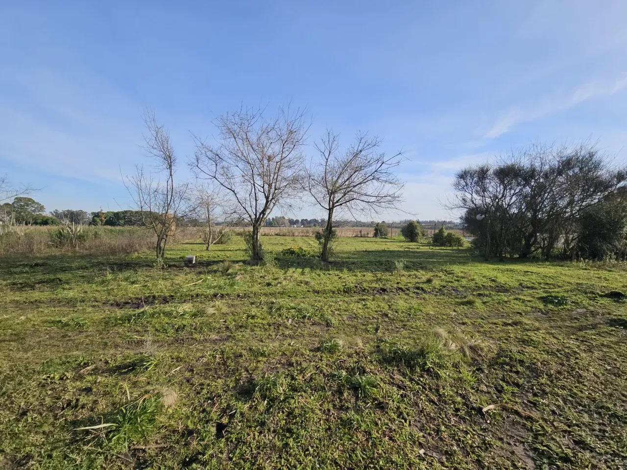 Lote en 38