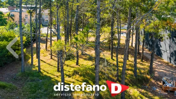 Lote en BUNGE, INTENDENT