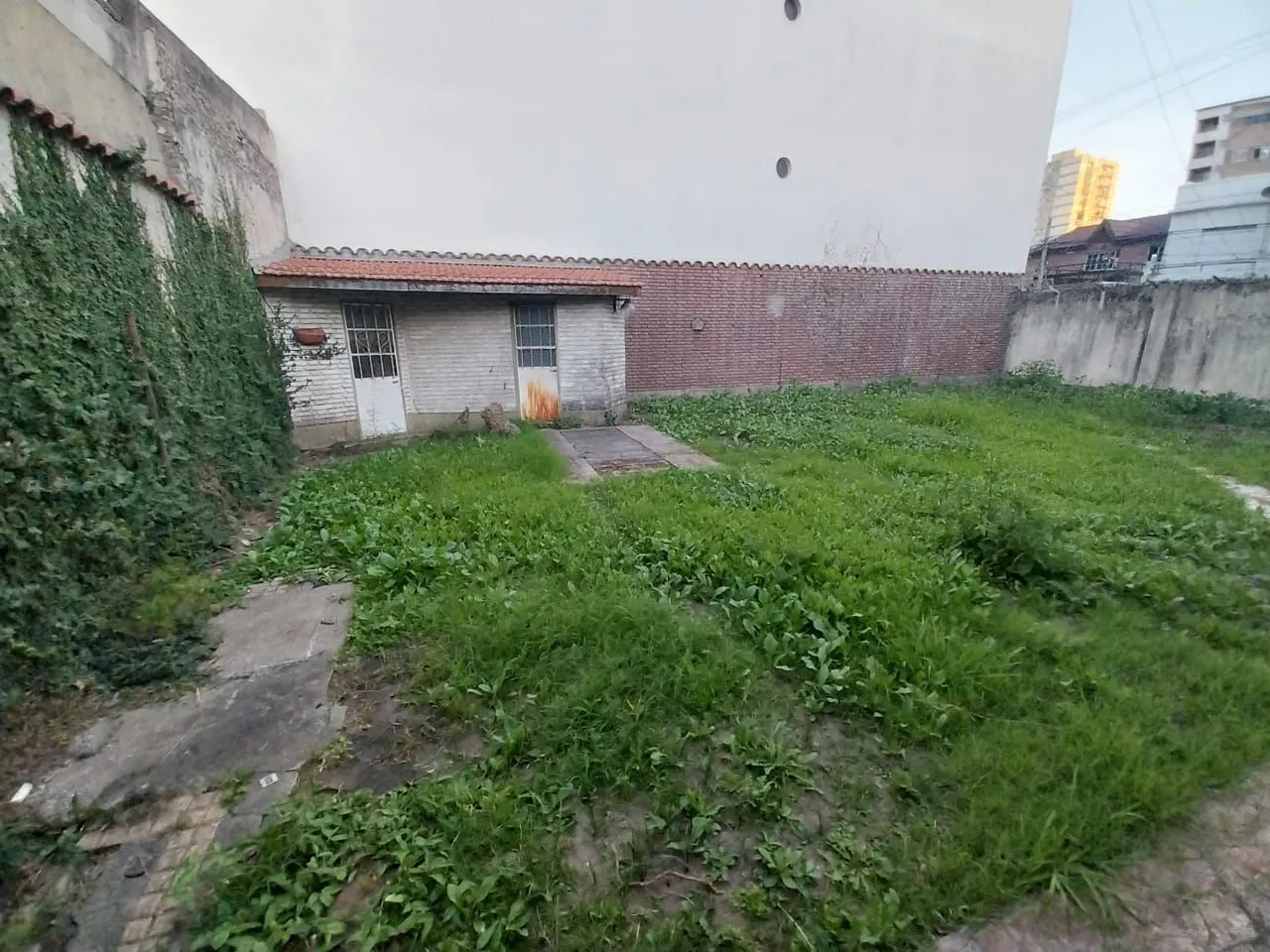 Lote en GAZETA DE BUENOS 3800