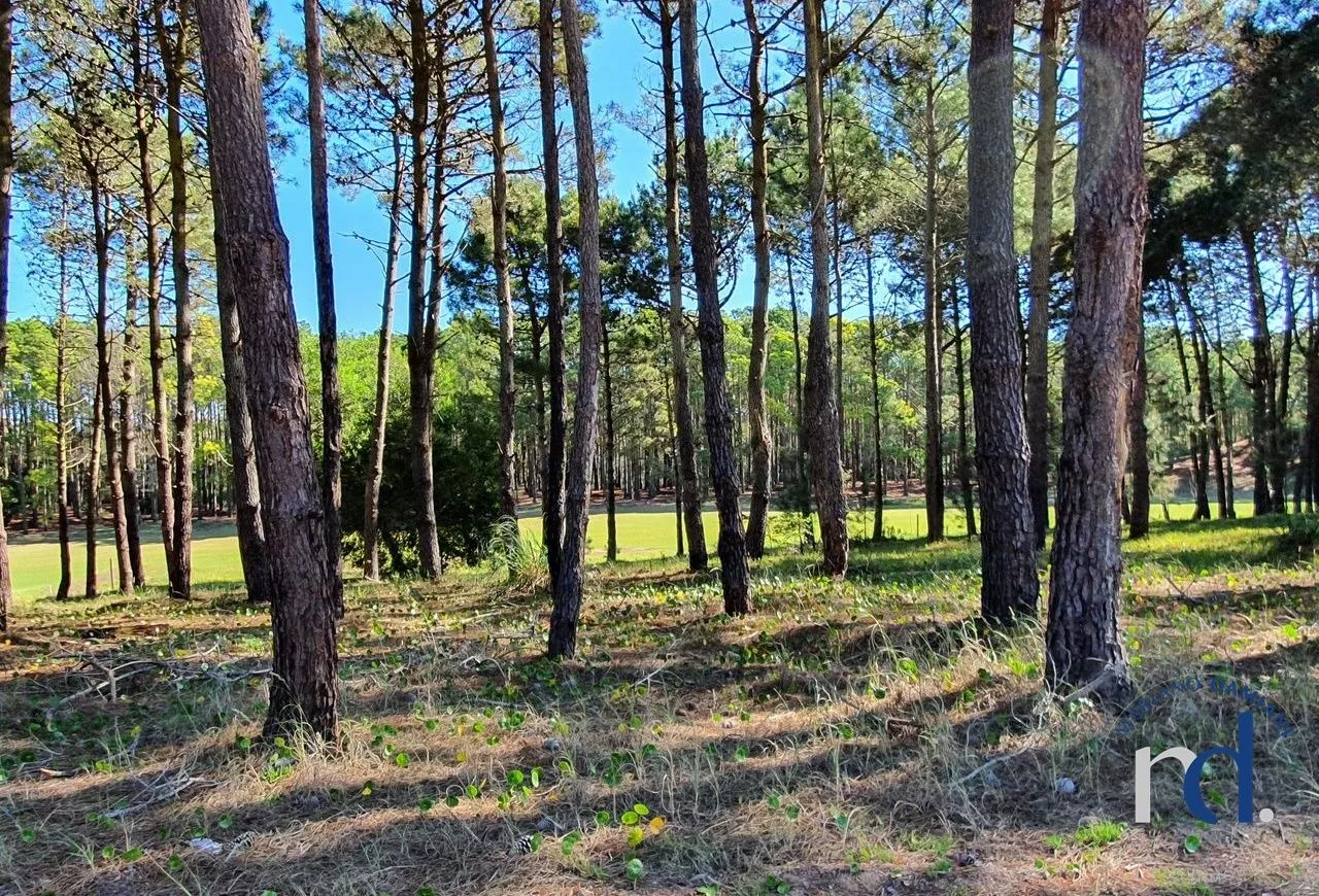 Lote en Isla del Golf