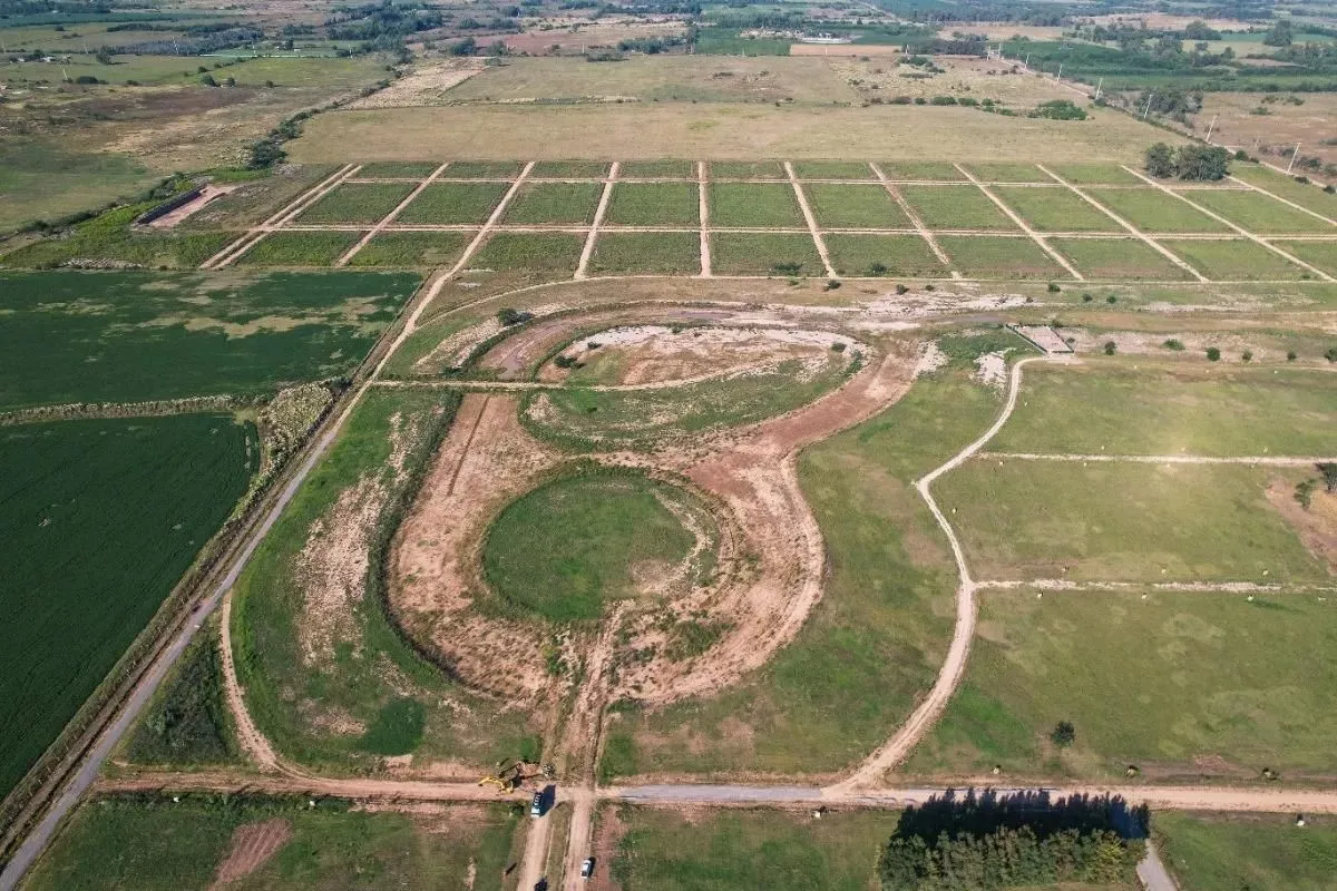 Lote en POLA 100