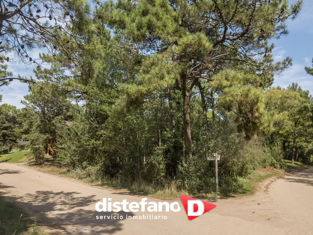 Lote en Palmera