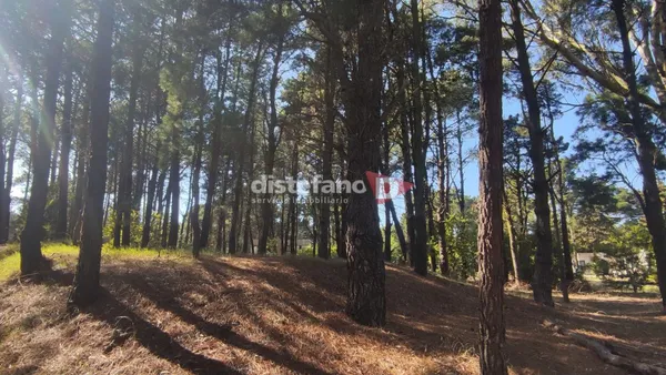 Lote en Cul de Sac Fraga