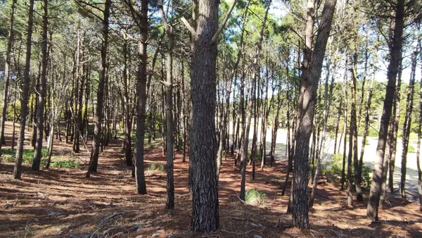 Lote en Cul de Sac Fraga