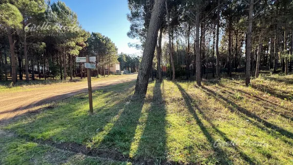 Lote en Avenida Verde de