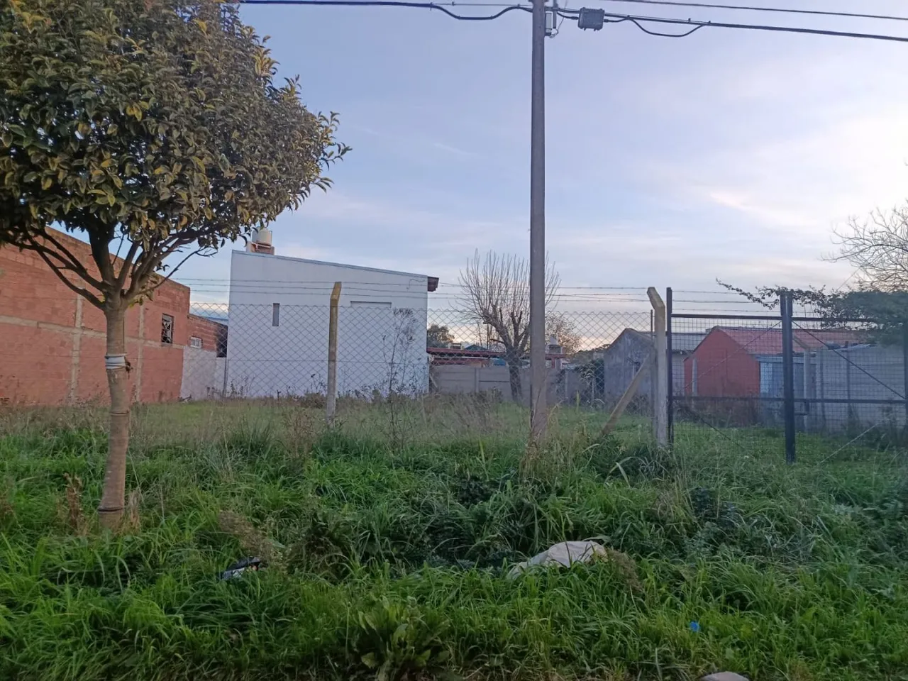 Lote en 41