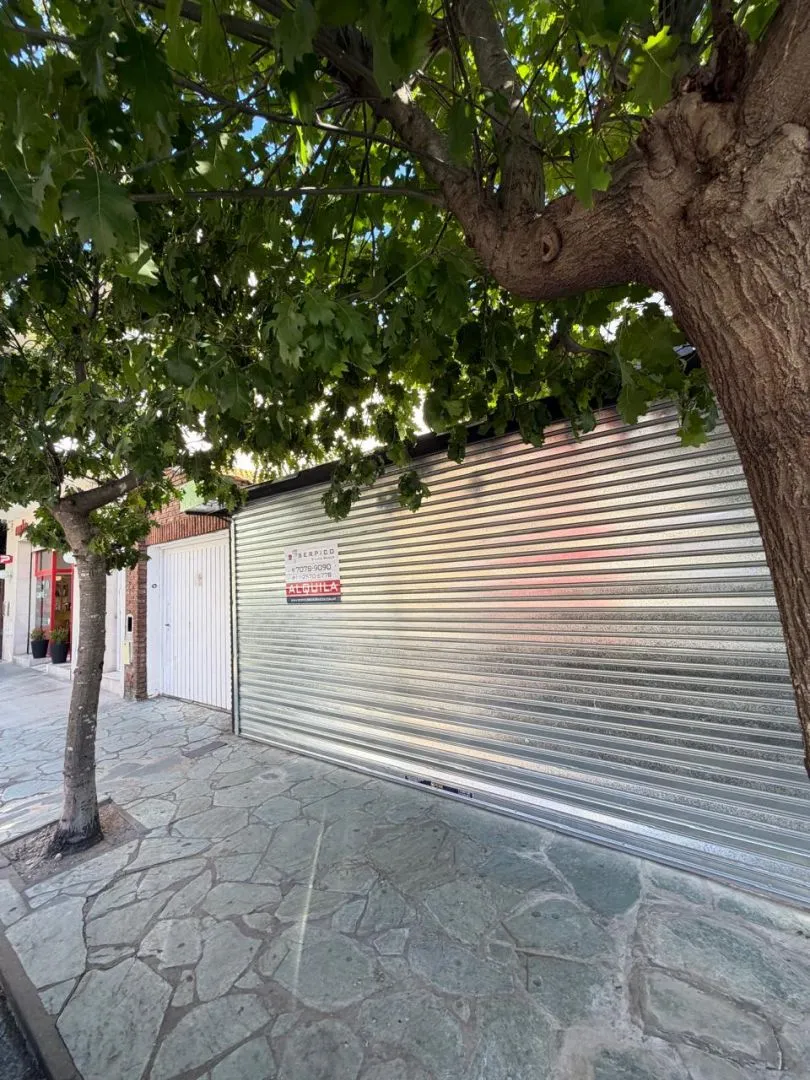 Local Comercial en ALMIRANTE BROWN 700