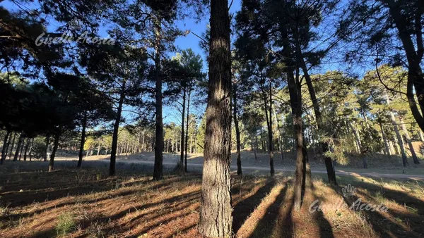Lote en Avenida Verde de