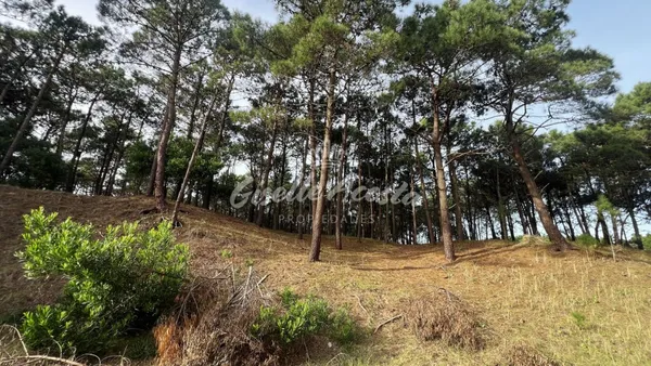 Lote en Fragata Libertad