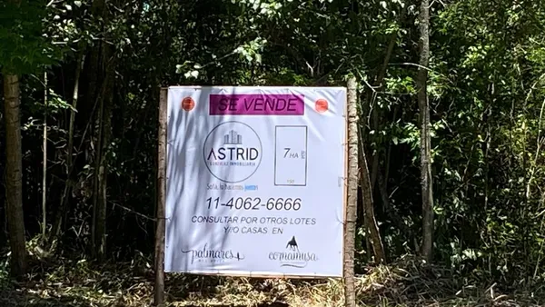 Lote