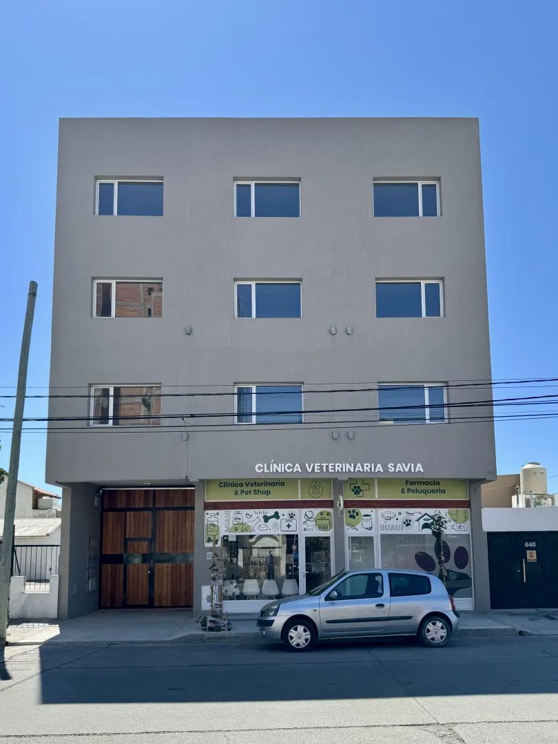 Departamento en San Martin 600