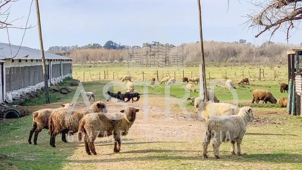 Quinta en Corrientes