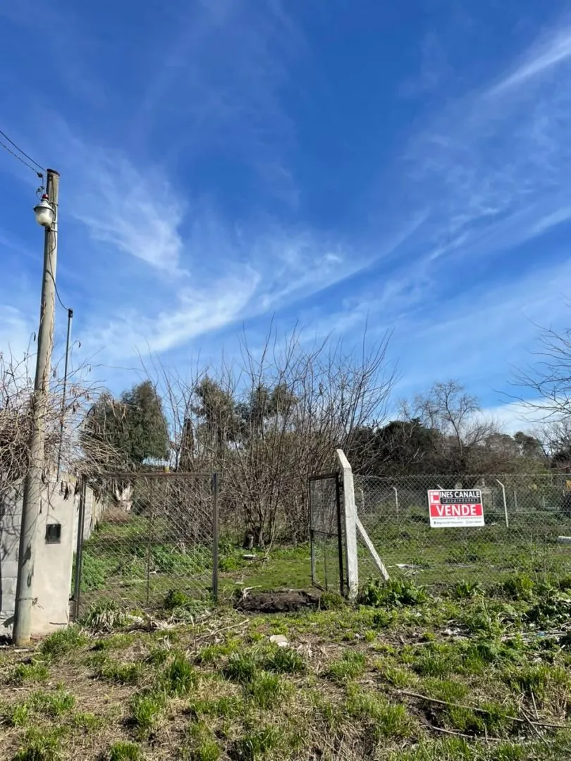 Lote en jose castillo 800