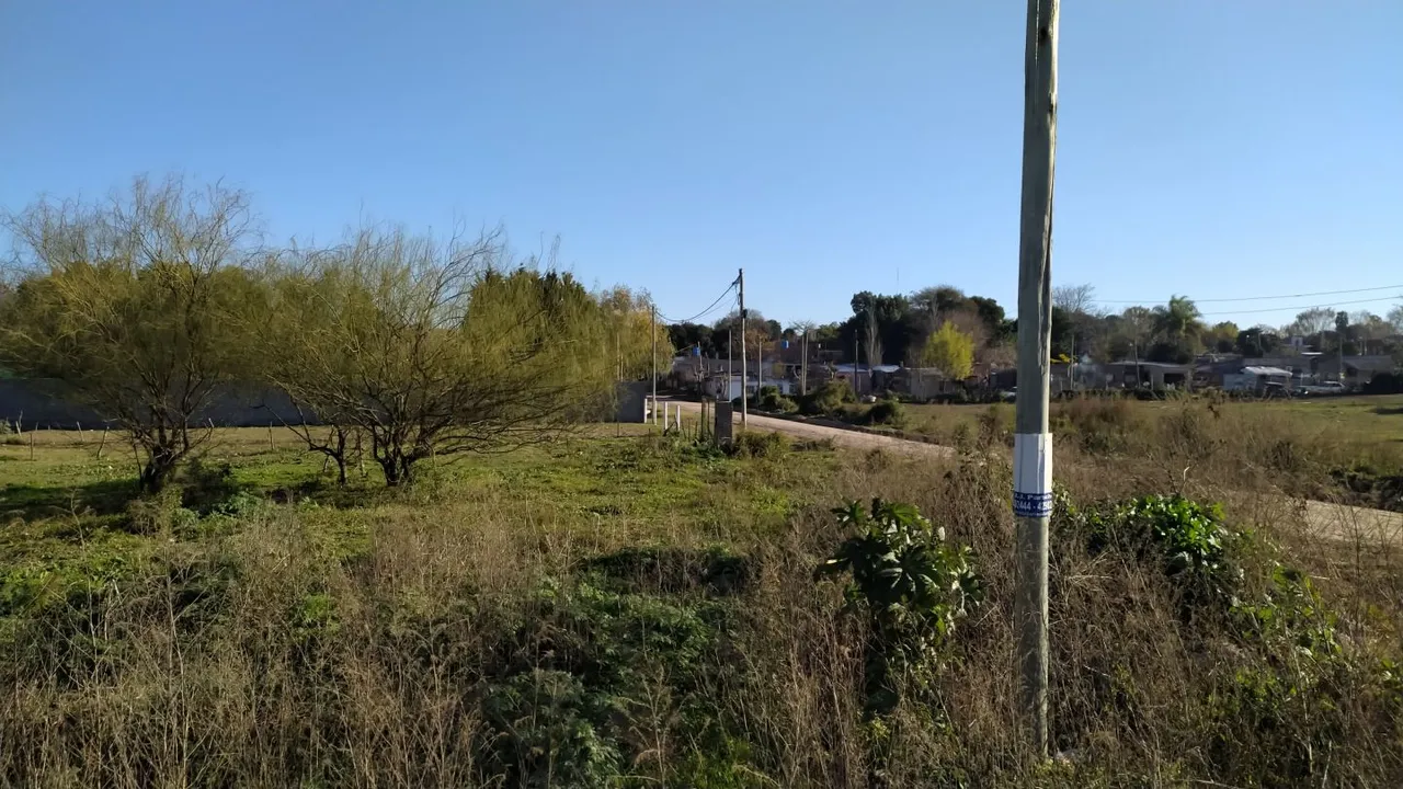 Lote en Bv. Pueyrredón