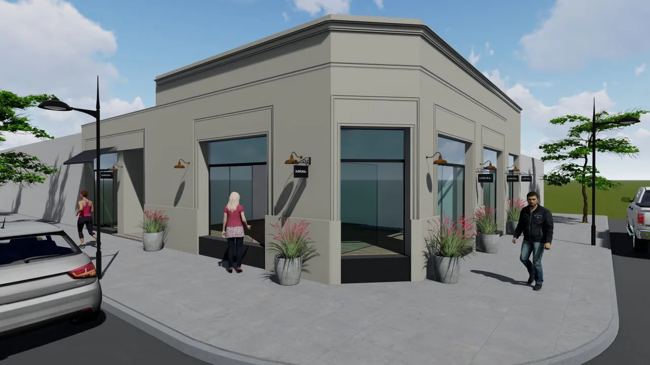 Local Comercial en 19