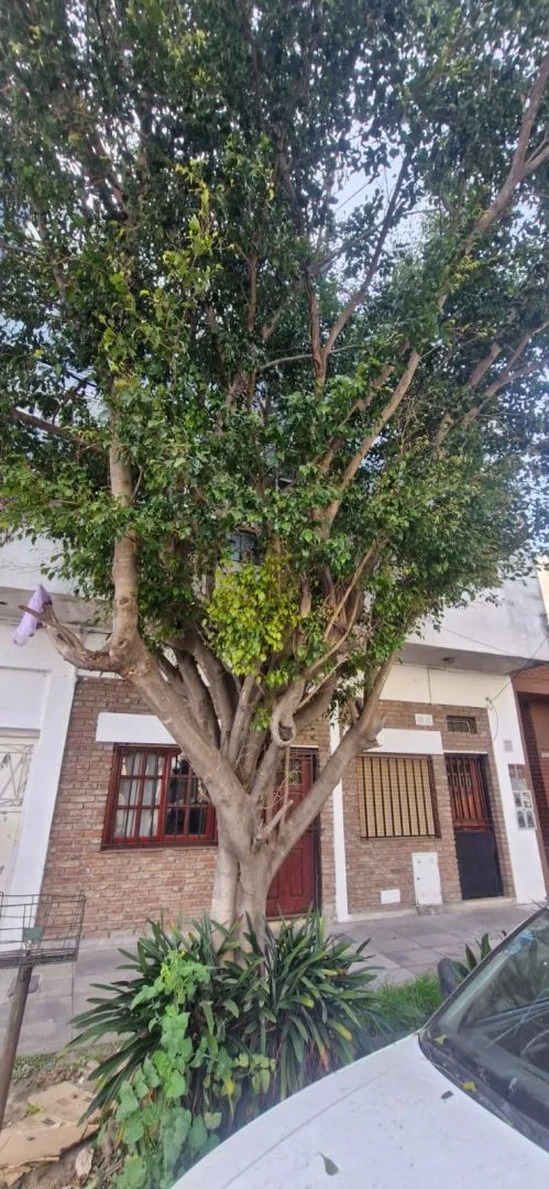 Departamento en ARABE SIRIA 2000