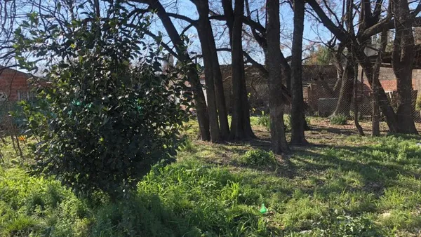 Lote en ALBERDI 1600